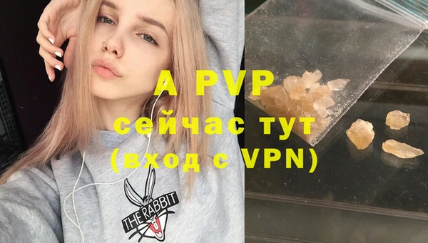 ешки Арсеньев