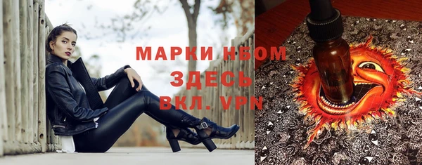 ешки Арсеньев