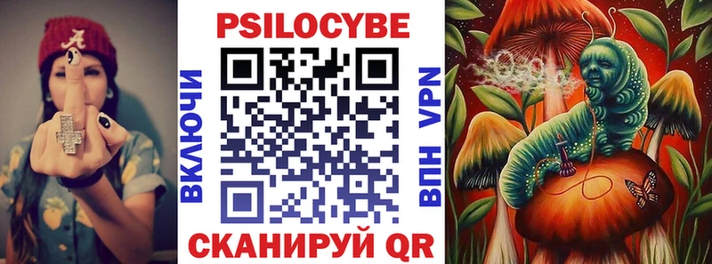 Галлюциногенные грибы Psilocybe  Ладушкин 