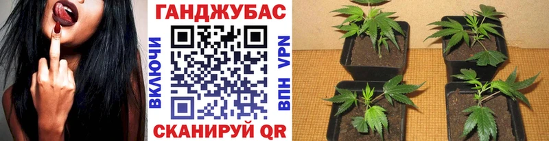 Шишки марихуана MAZAR  купить  цена  маркетплейс как зайти  Ладушкин 